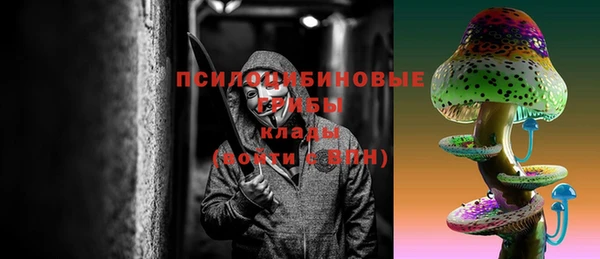 трава Беломорск