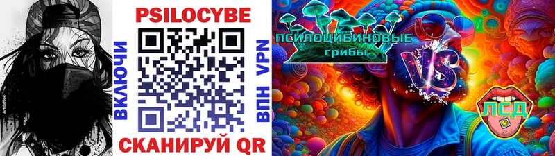 закладка  Уварово  Галлюциногенные грибы Psilocybe 